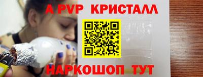 шишки Заволжье