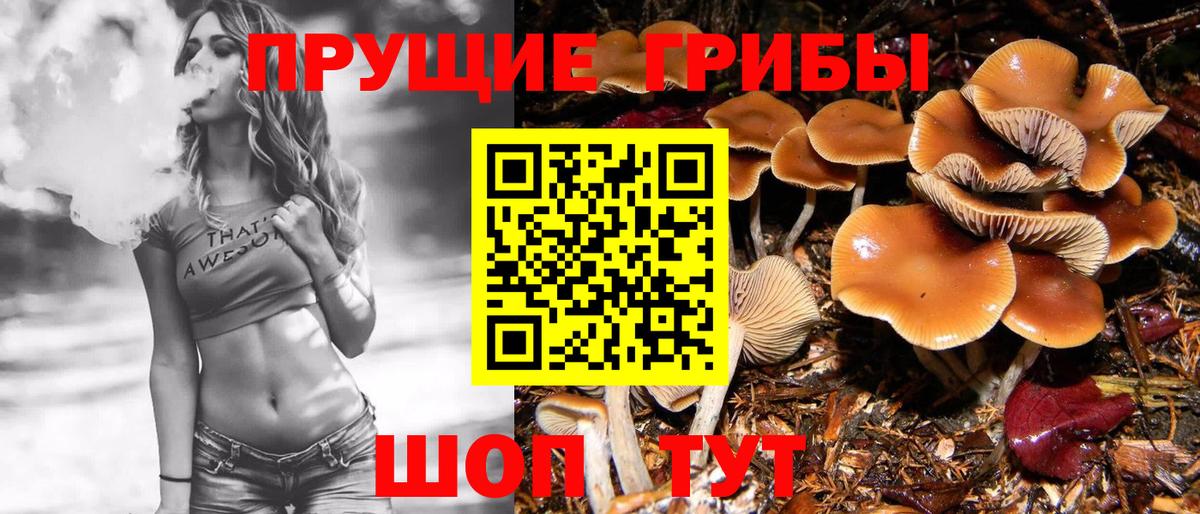 Галлюциногенные грибы Cubensis Лесосибирск